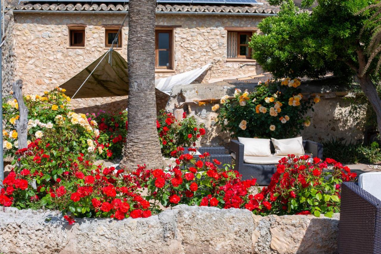 Sa Barcella Ti 64 Hotell Sineu  Exteriör bild